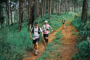 BIB: 
                            <button type="button" onclick="openModal(25698791)" class="btn btn-primary btn-sm float-right btn-popup" data-toggle="modal" data-target=".modal-high-quality">
                        <i class="fas fa-shopping-cart"></i> Add to Cart
                    </button>
                                            <button type="button" onclick="isThisMe(25698791, true)" class="btn btn-success btn-sm float-right btn-popup btn-isme hidden" data-toggle="tooltip" data-placement="bottom" title="นี่คือรูปของคุณใช่ไหม คลิกที่นี่เพื่อเอาเข้าอัลบั้ม">
                        <i class="fas fa-plus"></i> Add to album
                    </button>
                    <button type="button" onclick="isThisMe(25698791, false)" class="btn btn-warning btn-sm float-right btn-popup btn-isnotme hidden">
                        <i class="fas fa-ban"></i> Remove from album
                    </button>